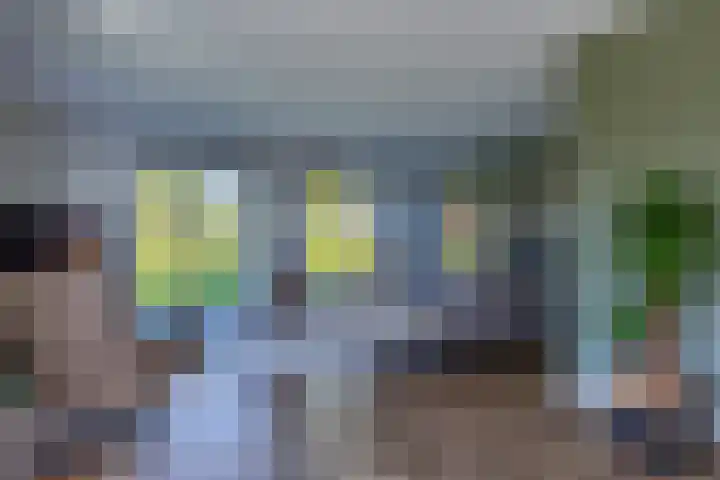 Jorrit Biermastrjitte 16 Dongjum thumbnail 14