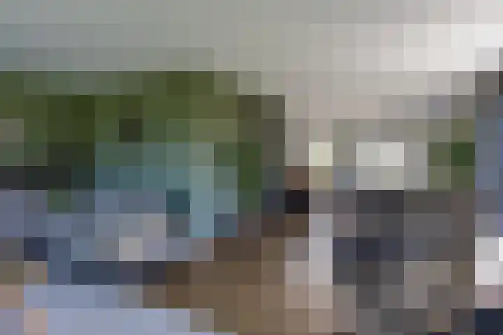 Jorrit Biermastrjitte 16 Dongjum thumbnail 15