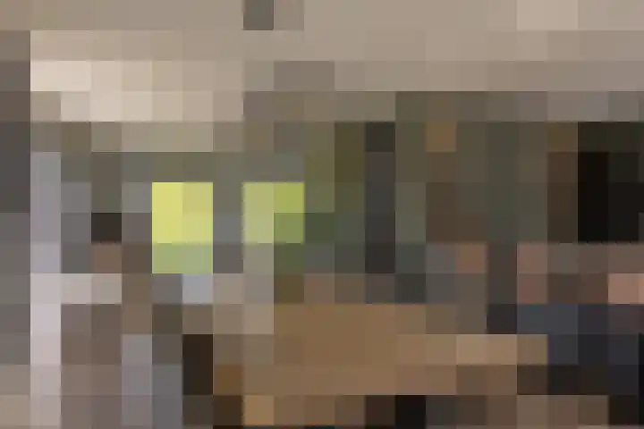 Jorrit Biermastrjitte 16 Dongjum thumbnail 18
