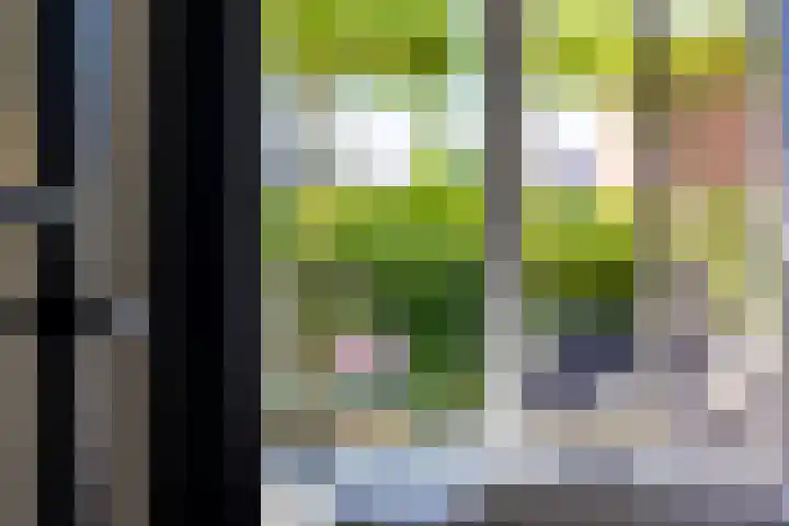 Jorrit Biermastrjitte 16 Dongjum thumbnail 20