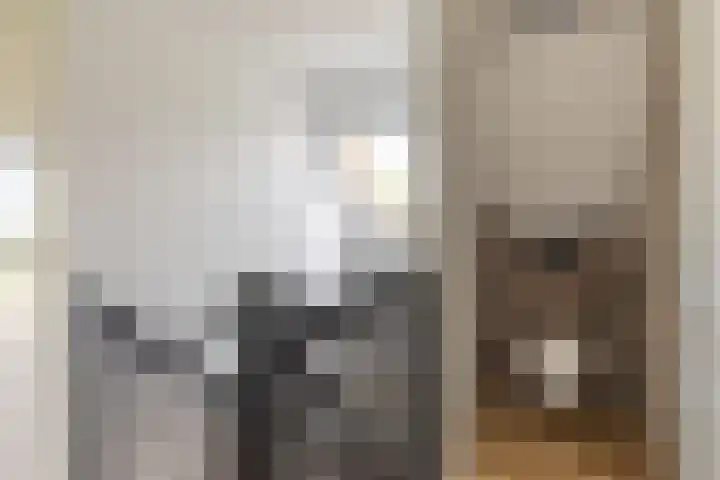 Jorrit Biermastrjitte 16 Dongjum thumbnail 29