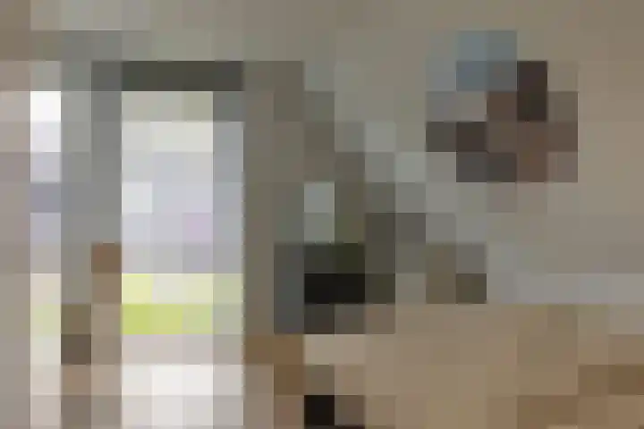 Jorrit Biermastrjitte 16 Dongjum thumbnail 33