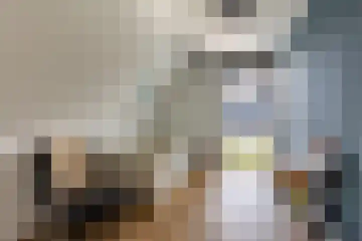Jorrit Biermastrjitte 16 Dongjum thumbnail 35