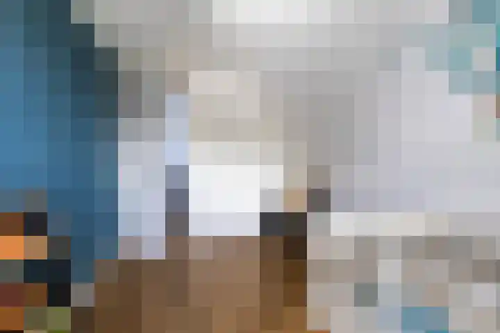 Jorrit Biermastrjitte 16 Dongjum thumbnail 36