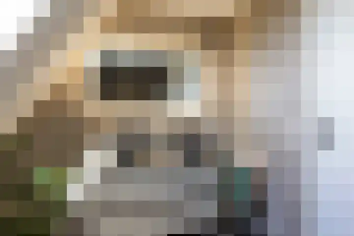 Jorrit Biermastrjitte 16 Dongjum thumbnail 37