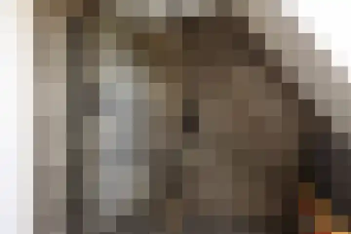 Jorrit Biermastrjitte 16 Dongjum thumbnail 38