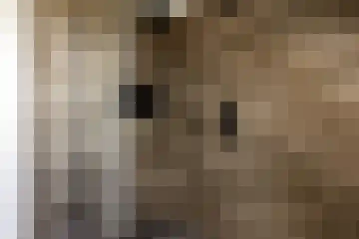 Jorrit Biermastrjitte 16 Dongjum thumbnail 39