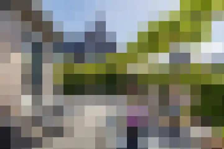 Jorrit Biermastrjitte 16 Dongjum thumbnail 4