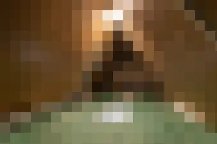 Jorrit Biermastrjitte 16 Dongjum thumbnail 40