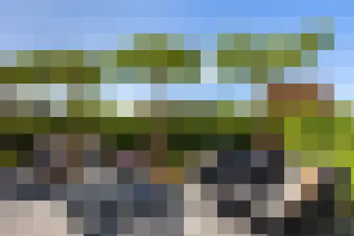 Jorrit Biermastrjitte 16 Dongjum thumbnail 41