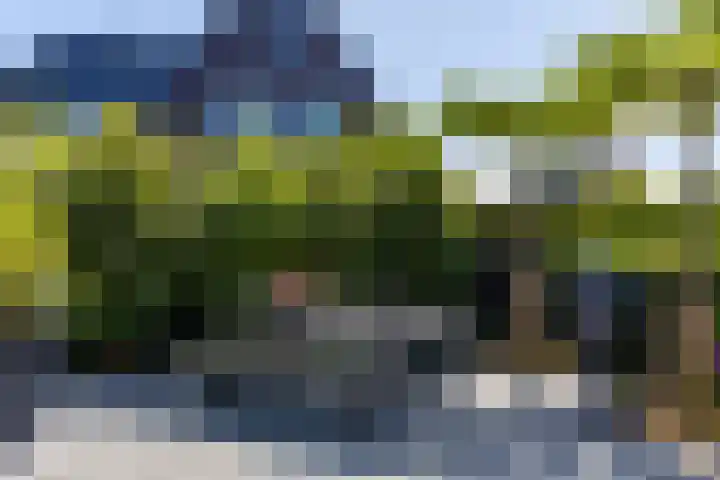 Jorrit Biermastrjitte 16 Dongjum thumbnail 43