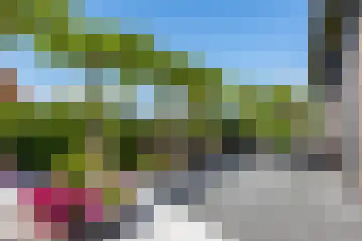 Jorrit Biermastrjitte 16 Dongjum thumbnail 44