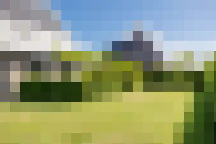 Jorrit Biermastrjitte 16 Dongjum thumbnail 45