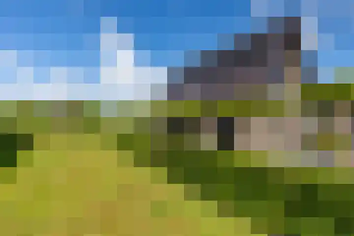 Jorrit Biermastrjitte 16 Dongjum thumbnail 47