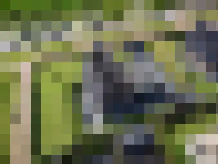 Jorrit Biermastrjitte 16 Dongjum thumbnail 5