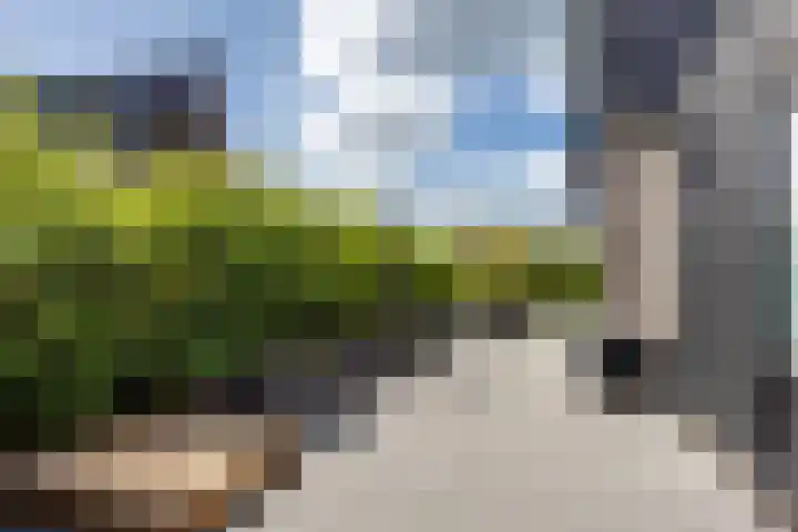 Jorrit Biermastrjitte 16 Dongjum thumbnail 50