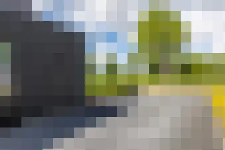Jorrit Biermastrjitte 16 Dongjum thumbnail 53
