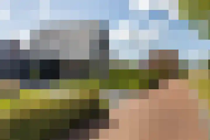 Jorrit Biermastrjitte 16 Dongjum thumbnail 54