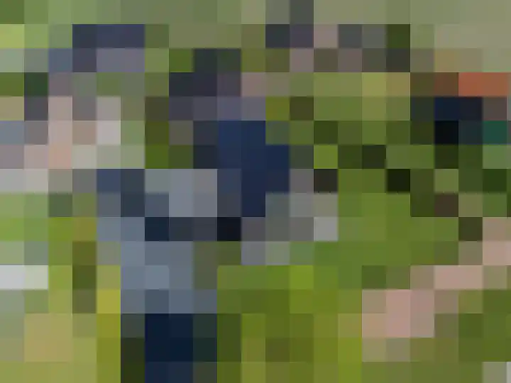 Jorrit Biermastrjitte 16 Dongjum thumbnail 57