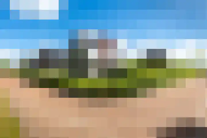 Jorrit Biermastrjitte 16 Dongjum thumbnail 6