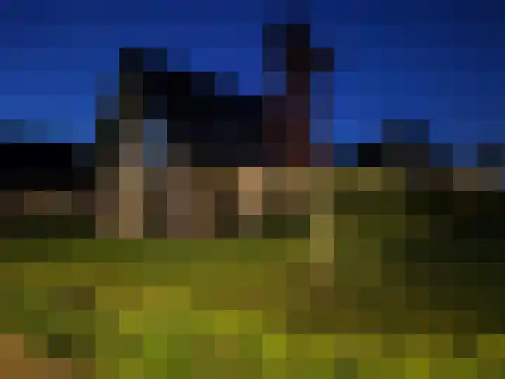Jorrit Biermastrjitte 16 Dongjum thumbnail 62
