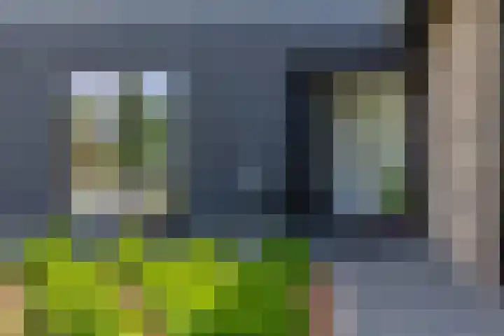 Jorrit Biermastrjitte 16 Dongjum thumbnail 7