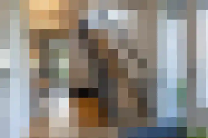 Jorrit Biermastrjitte 16 Dongjum thumbnail 8
