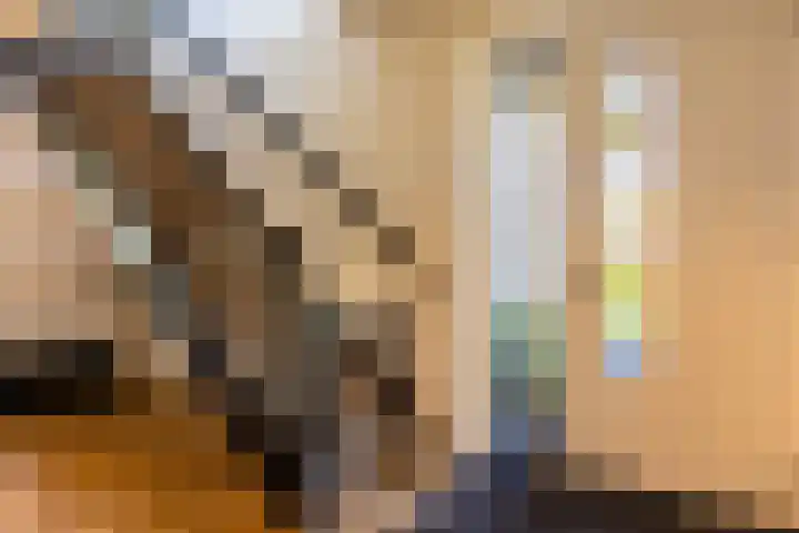 Jorrit Biermastrjitte 16 Dongjum thumbnail 9