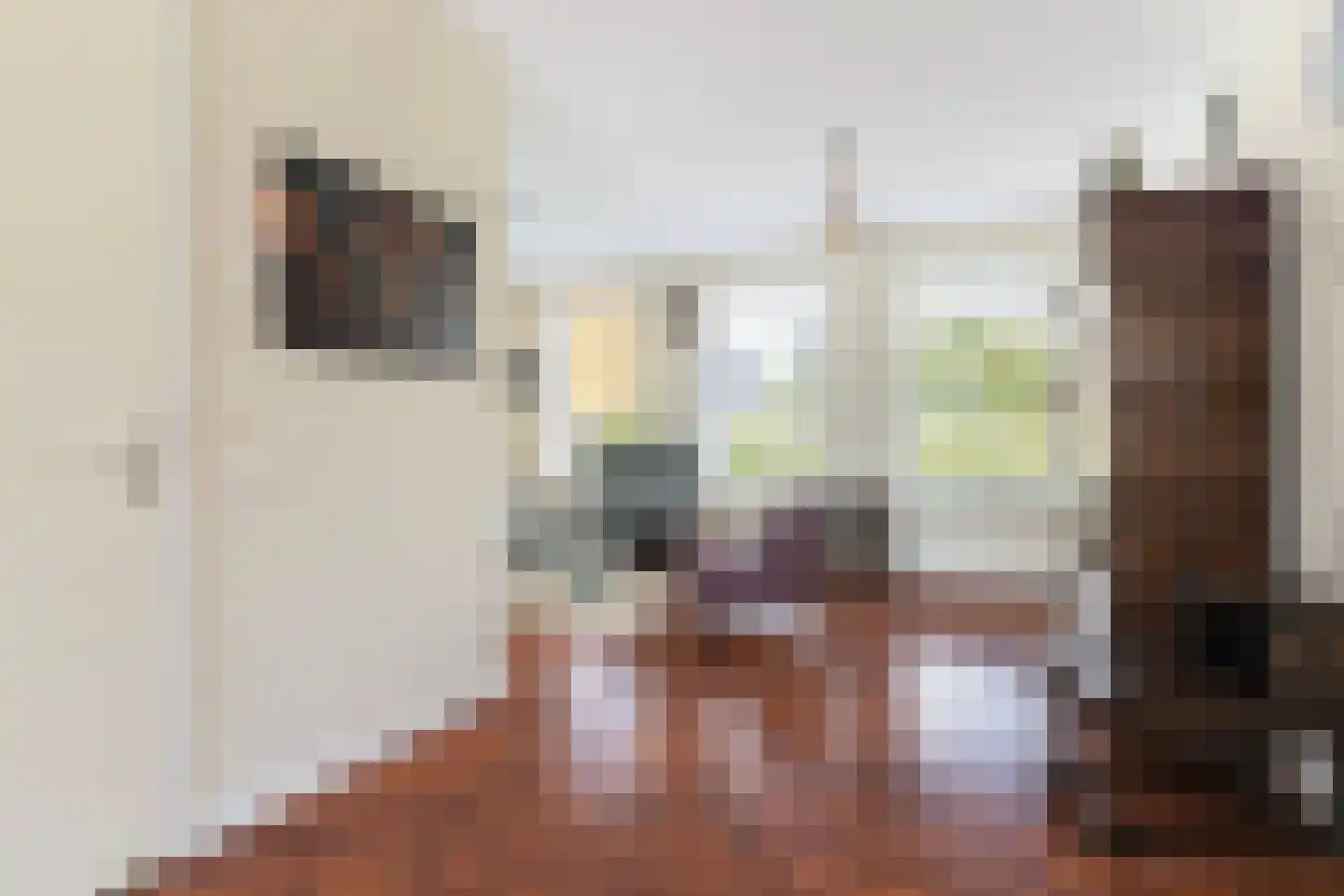Jorrit Biermastrjitte 4 Dongjum thumbnail 13