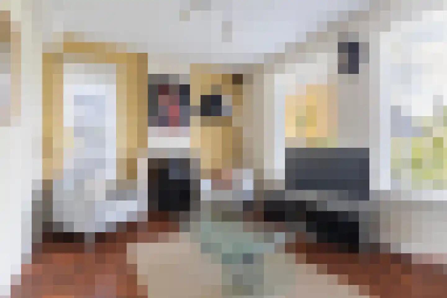 Jorrit Biermastrjitte 4 Dongjum thumbnail 14