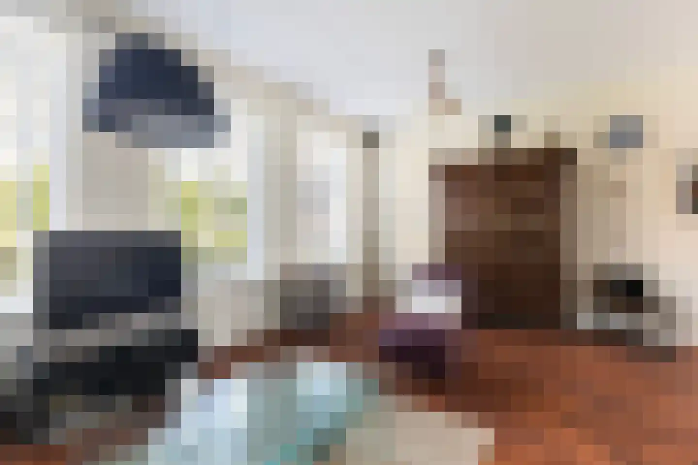 Jorrit Biermastrjitte 4 Dongjum thumbnail 15