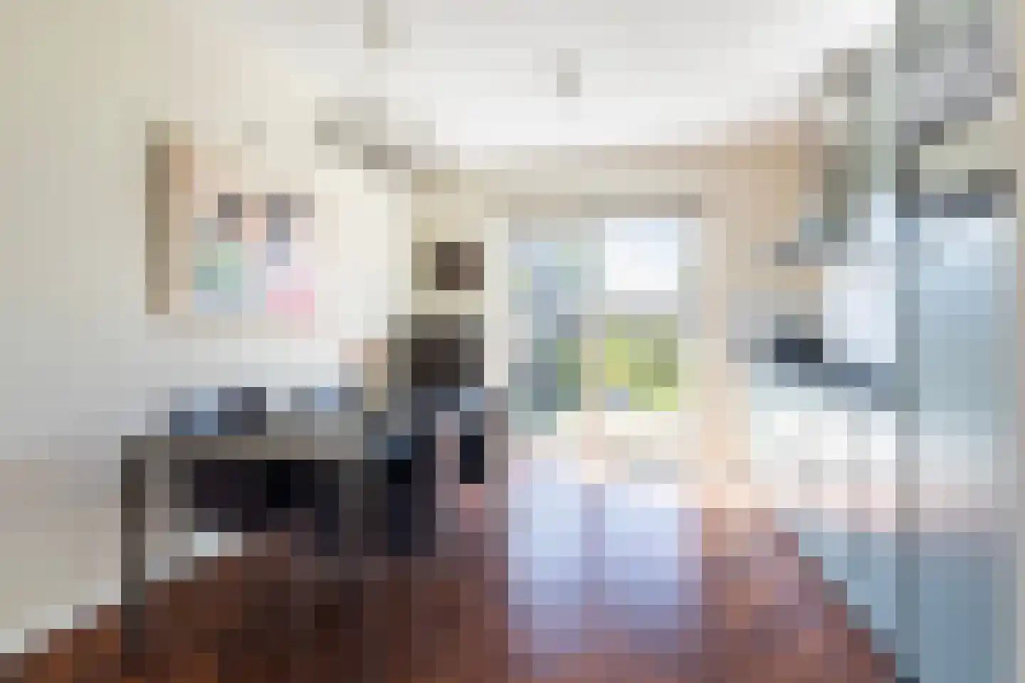 Jorrit Biermastrjitte 4 Dongjum thumbnail 19