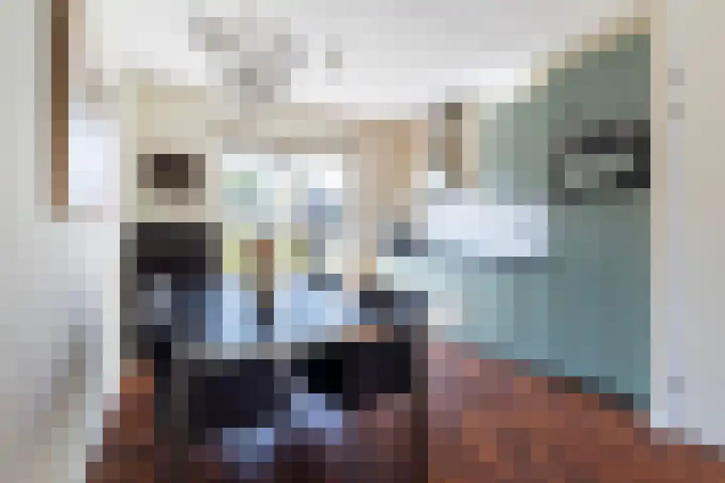 Jorrit Biermastrjitte 4 Dongjum thumbnail 20
