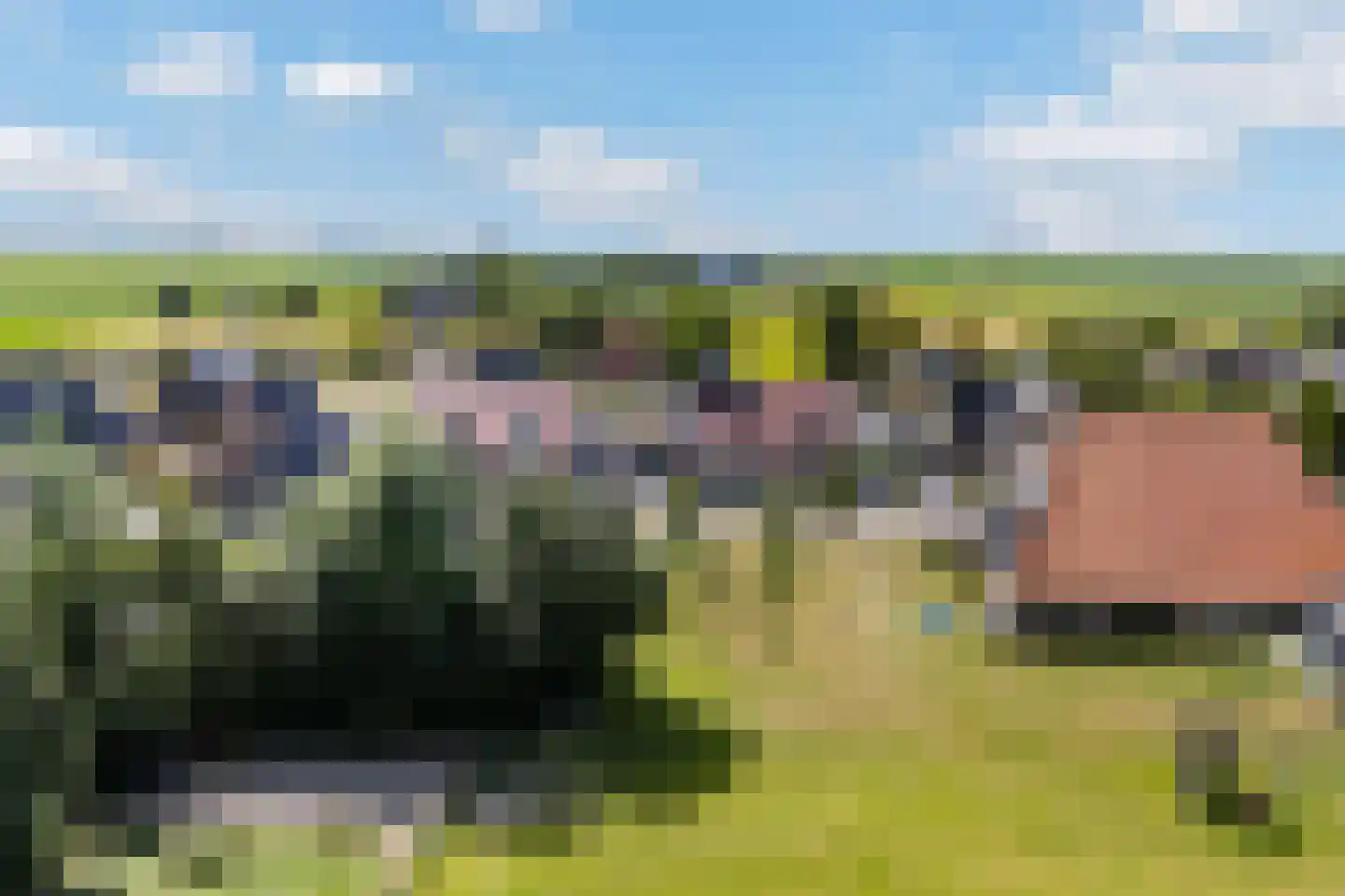 Jorrit Biermastrjitte 4 Dongjum thumbnail 46