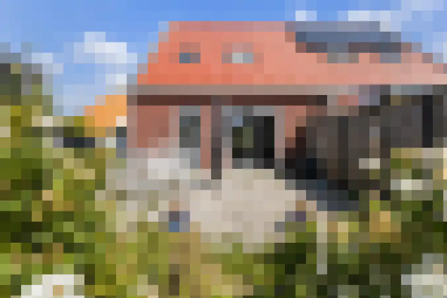 Jorrit Biermastrjitte 4 Dongjum thumbnail 5