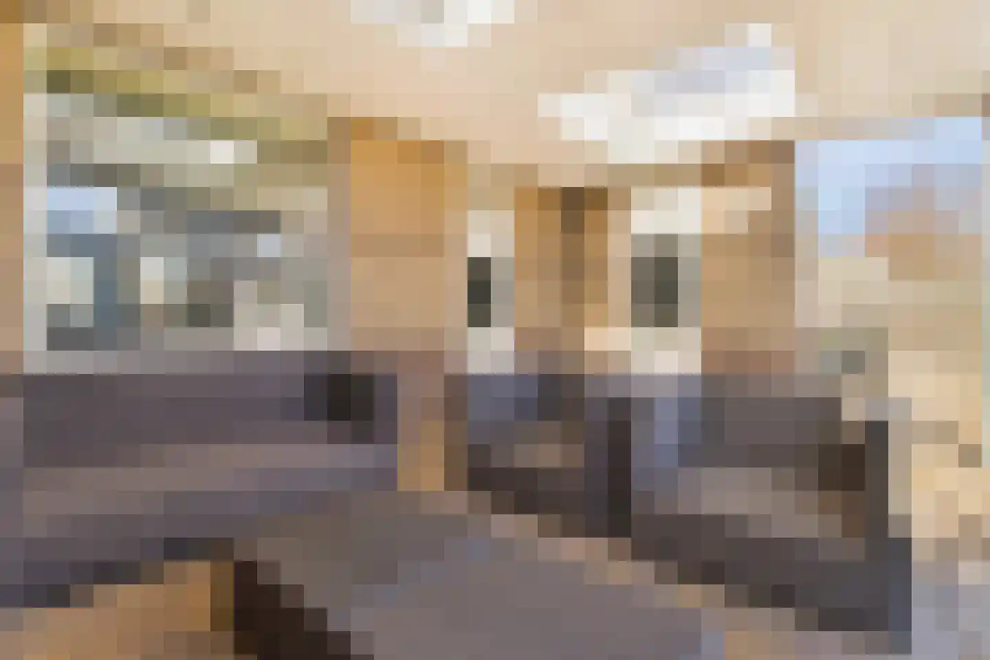 Jos Cuypersstraat 22 Heerlen thumbnail 15