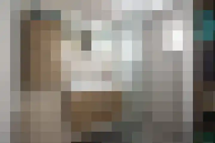 Jos Habetsstraat 21 Heerlen thumbnail 10