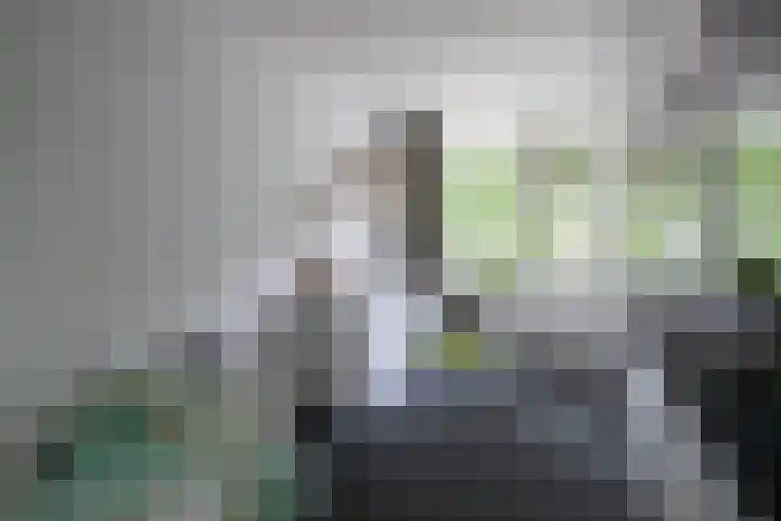 Jos Habetsstraat 21 Heerlen thumbnail 23