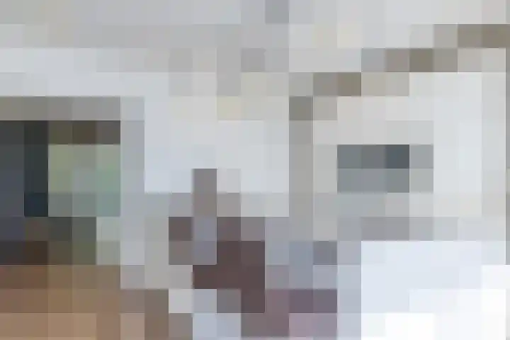 Jos Habetsstraat 40 Heerlen thumbnail 8