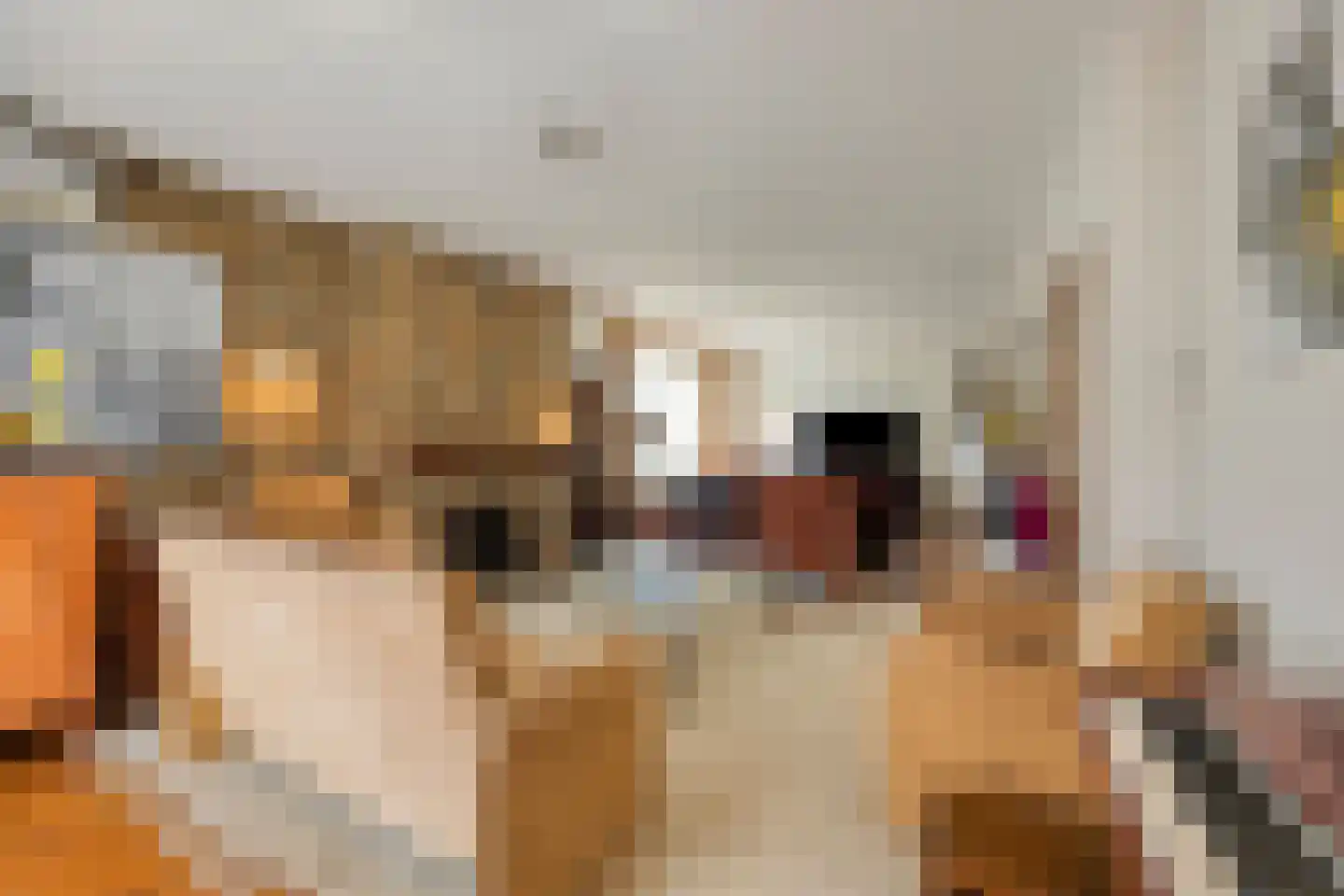 Jos Klijnenlaan 23 Geleen thumbnail 11