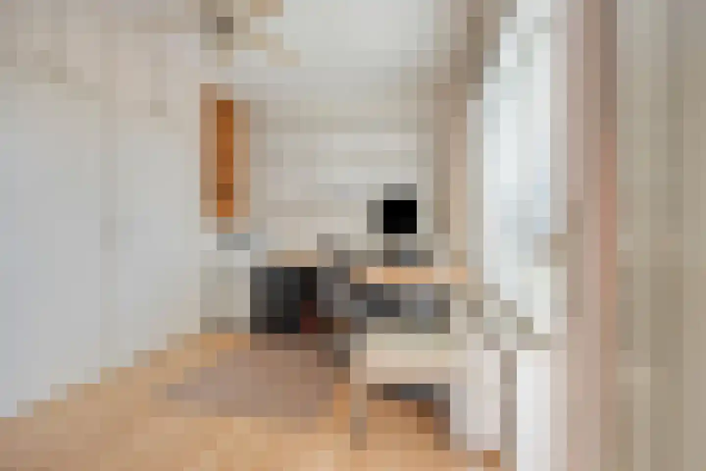 Jos Klijnenlaan 23 Geleen thumbnail 13