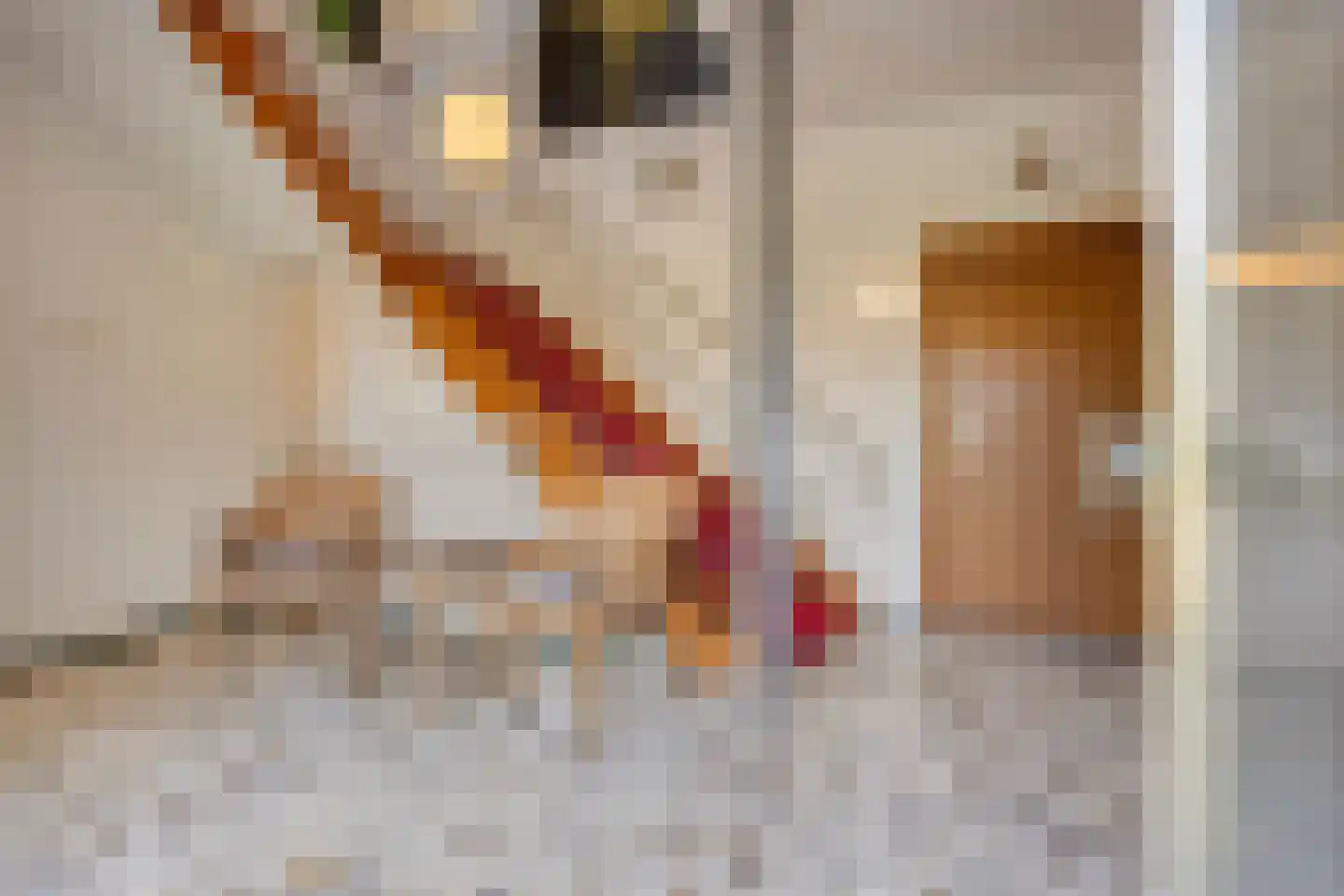 Jos Klijnenlaan 23 Geleen thumbnail 6