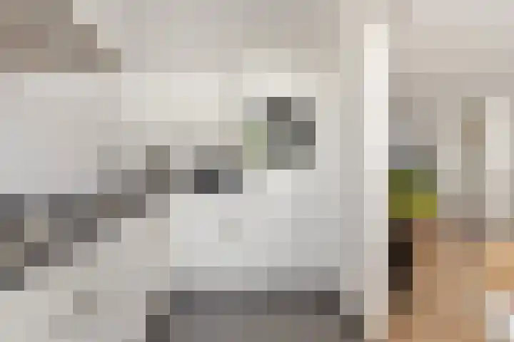Jos Klijnenlaan 252 Geleen thumbnail 10