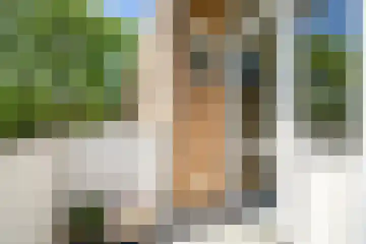 Jos Klijnenlaan 252 Geleen thumbnail 14