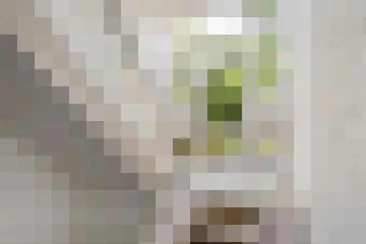 Jos Klijnenlaan 252 Geleen thumbnail 19