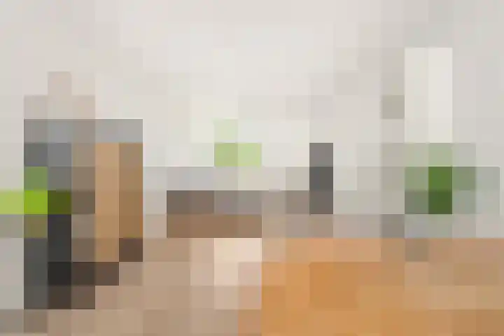 Jos Klijnenlaan 252 Geleen thumbnail 9