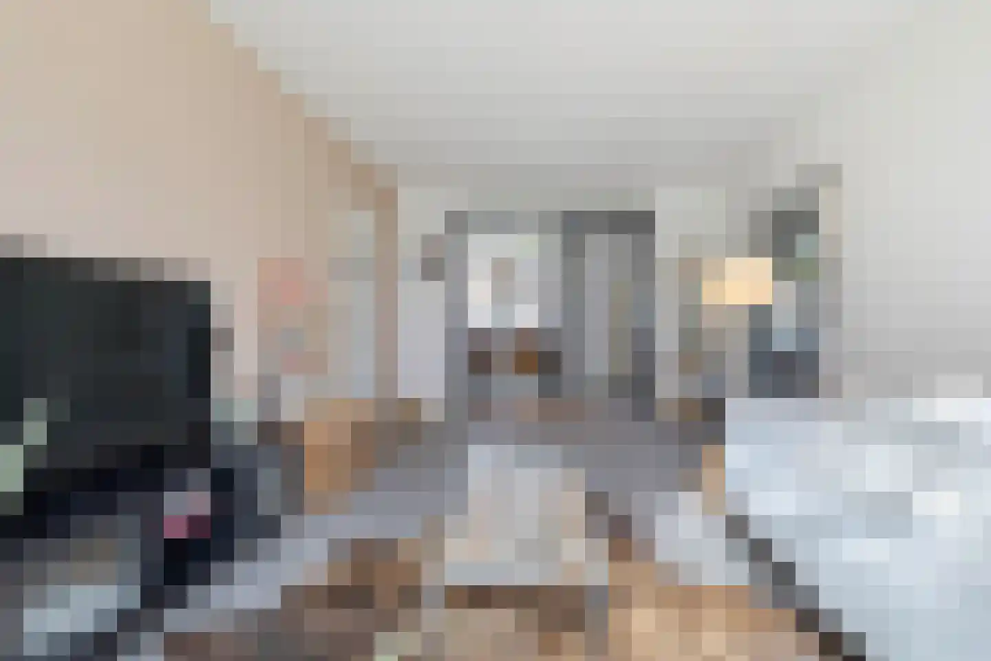 Jos Klijnenlaan 276 Geleen thumbnail 6