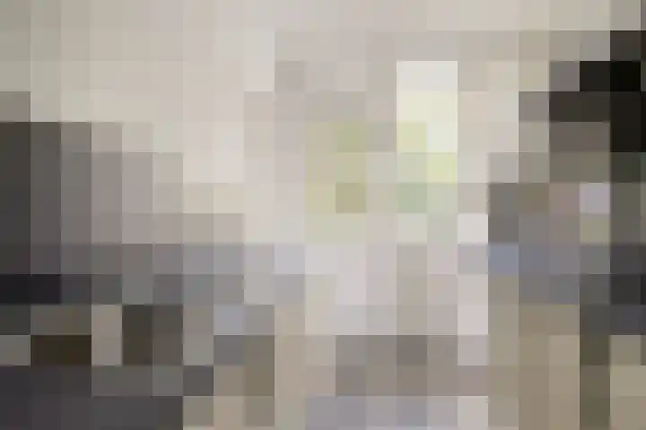 Jos Klijnenlaan 278 Geleen thumbnail 15