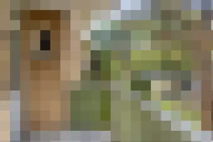 Jos Klijnenlaan 278 Geleen thumbnail 17