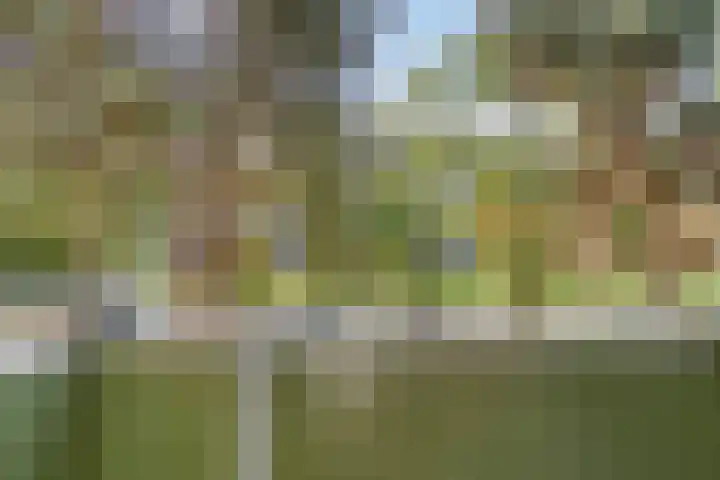Jos Klijnenlaan 278 Geleen thumbnail 18